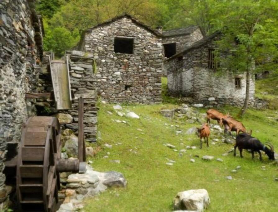 Casa Matilde Home Restaurant Hotel Curiglia المظهر الخارجي الصورة